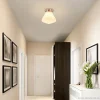 art_deco_plafondlamp_staa_4.webp Flash Sale Straluma Art Deco plafondlamp staal met wit gl.