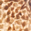 Hot Straluma Beach tafellamp schelpen bol woonkamer