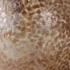 Hot Straluma Beach tafellamp schelpen bol woonkamer