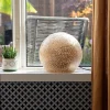 Hot Straluma Beach tafellamp schelpen bol woonkamer