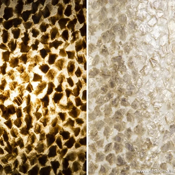 beach_wandlamp_goud_capiz_2.webp Best Sale Straluma Beach wandlamp goud capiz schelpen