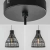 Cheap Straluma Botanische hanglamp Puerto rotan mat zwart