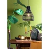 Cheap Straluma Botanische hanglamp Puerto rotan mat zwart
