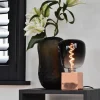 Hot Straluma Calex Colors Elegance Kiruna zwart dimbaar