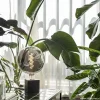Sale Straluma Calex Kalmar lichtbron titanium 5w e27