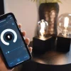 calex_smart_home_e_globe__4-1.webp Sale Straluma Calex Smart Home E27 Globe LED filament smoke G125