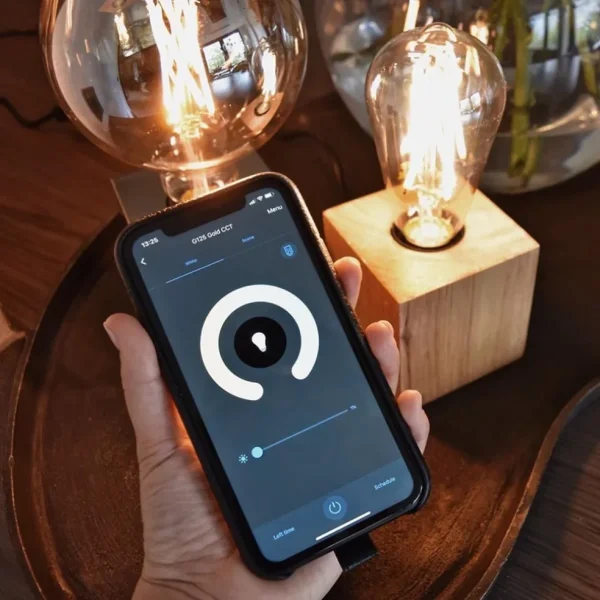 calex_smart_home_e_led_fi_2-5.webp Best Sale Straluma Calex Smart Home E27 LED filament goud ST64