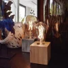 calex_smart_home_e_led_fi_3-5.webp Best Sale Straluma Calex Smart Home E27 LED filament goud ST64