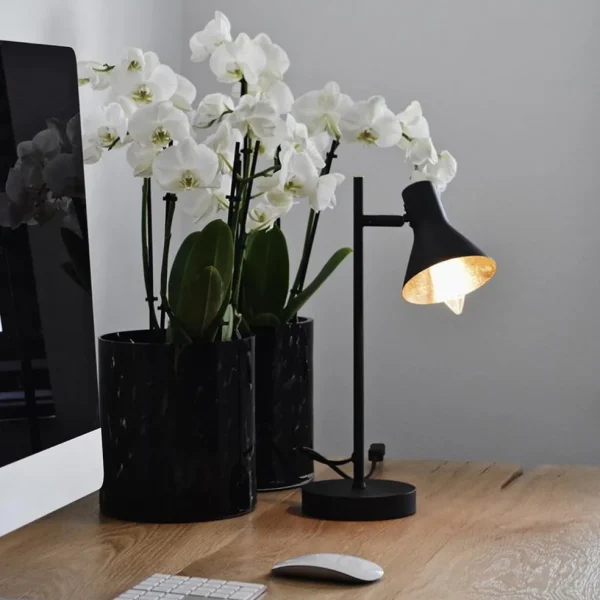 calex_smart_home_e_led_fi_4-3.webp Flash Sale Straluma Calex Smart Home E14 LED filament helder kaars