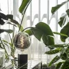calex_smart_led_globe_g_t_3.webp Cheap Straluma Calex Smart LED Globe G200 Titanium