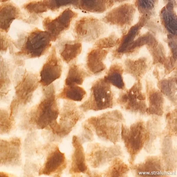 grote_schelpen_hanglamp_b_3.webp Clearance Straluma Grote schelpen hanglamp bruin goud