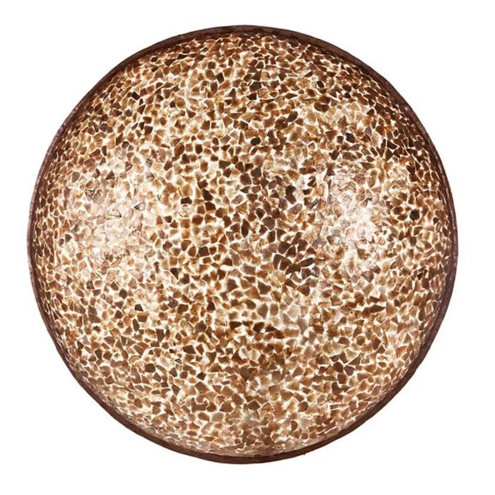 Outlet Straluma Grote schelpen wandlamp bruin met goud 60 cm