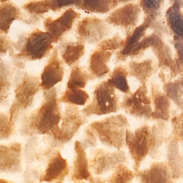 grote_schelpen_wandlamp_b_3.webp Outlet Straluma Grote schelpen wandlamp bruin met goud 60 cm