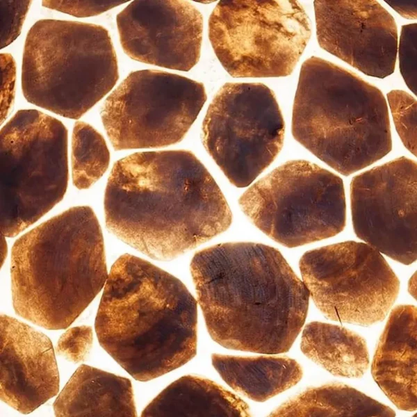 grote_vloerlamp_turtle_go_3.webp New Straluma Grote vloerlamp turtle goud 200 cm