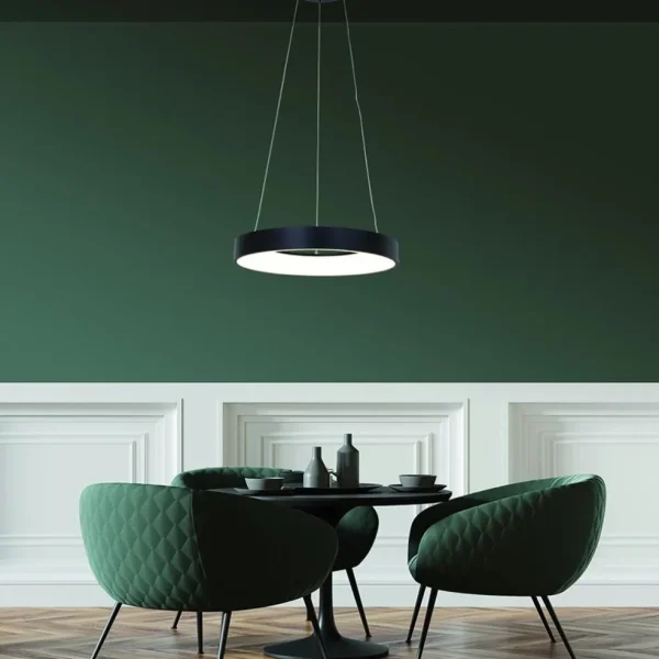 hanglamp_ringlede_zwart_c_4.webp Flash Sale Straluma Hanglamp Ringlede zwart 48cm