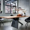 Cheap Straluma Hanglamp Tortona 5L zwart 150cm