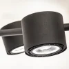 hanglamp_zwart_l_spot_inc_2.webp Best Straluma Hanglamp zwart 6L spot incl. gu10-111