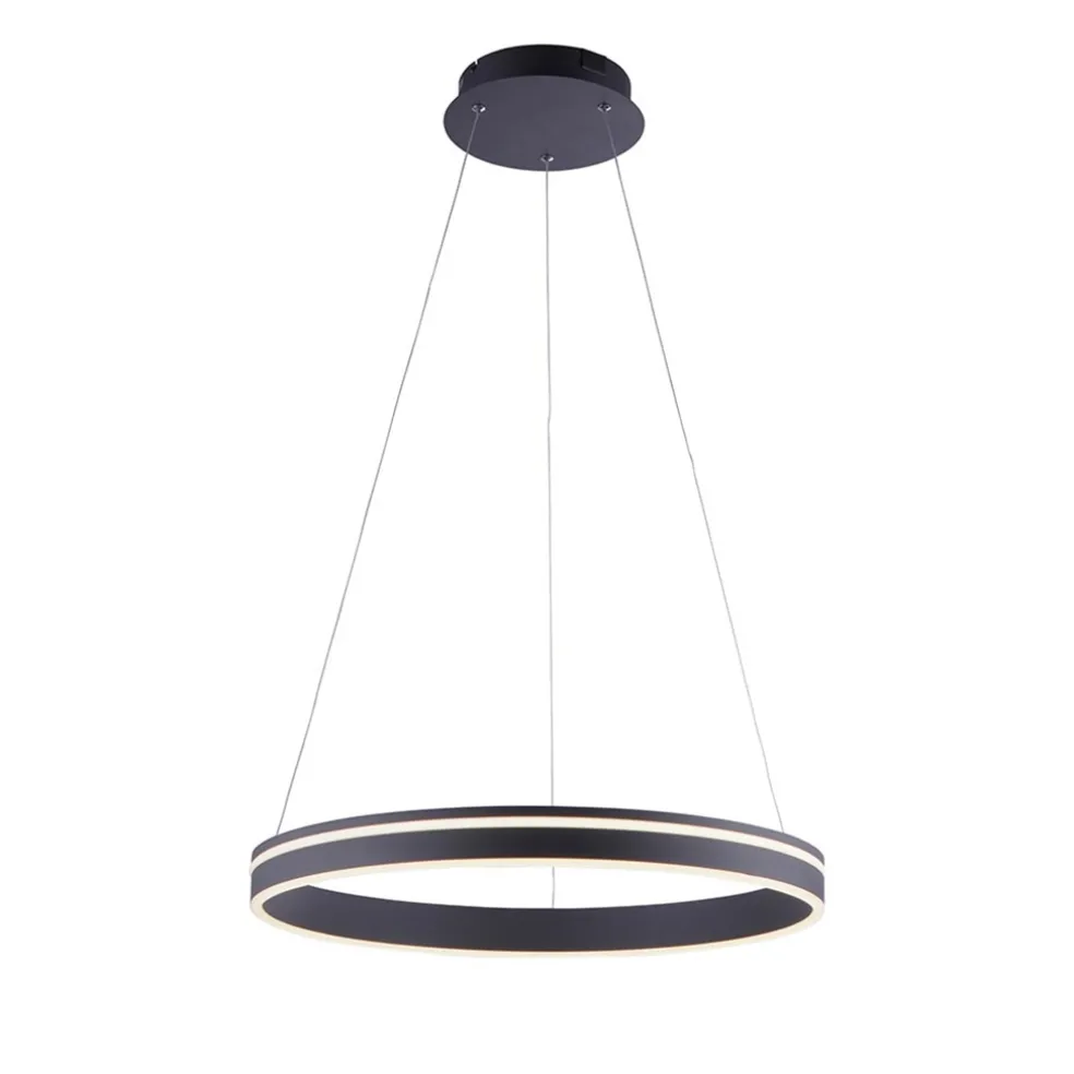hanglamp_zwart_ring_cm__a_0.webp Discount Straluma Hanglamp zwart ring 60cm + afst.bed.CCT