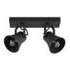 industrile_lichts_plafond_0.webp Online Straluma Industriële 2-lichts plafondspot mat zwart