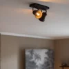 industrile_lichts_plafond_4.webp Online Straluma Industriële 2-lichts plafondspot mat zwart
