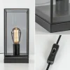 kleine_tafellamp_askjer_z_2.webp Online Straluma Kleine tafellamp Askjer zwart met smoke glas