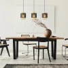 lichts_eettafelhanglamp_w_4.webp Outlet Straluma 3-Lichts eettafelhanglamp webbing met zwart