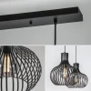 lichts_hanglamp_met_mat_z_2.webp New Straluma 2-Lichts hanglamp met mat zwarte draad kappen