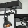 lichts_metalen_plafondlam_2.webp Outlet Straluma 2-Lichts metalen plafondlamp Eliano mat zwart