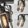 Flash Sale Straluma 3-Lichts plafondlamp mat zwart met smoke glazen kappen