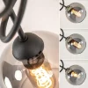 lichts_plafondlamp_zwart__3-4.webp Hot Straluma 3-Lichts plafondlamp zwart met smoke glazen bollen