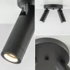Online Straluma 2-Lichts plafondspot mat zwart met gouden accent