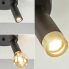 Online Straluma 2-Lichts plafondspot mat zwart met gouden accent