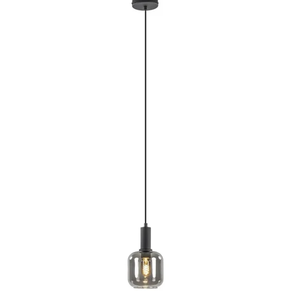 Discount Straluma Light and Living hanglamp Lekar zwart met smoke glas klein