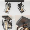 mat_zwarte_lichts_plafond_2.webp New Straluma Mat zwarte 2-lichts plafondlamp met smoke glas