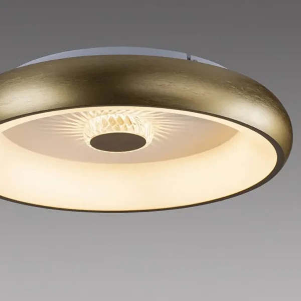 moderne_led_plafondlamp_m_2.webp New Straluma Moderne LED plafondlamp mat goud met remote dimbaar
