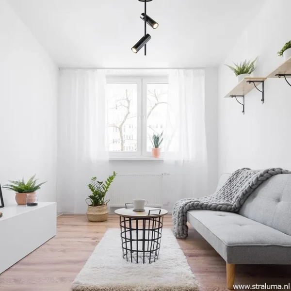 moderne_lichts_opbouwspot_4.webp Online Straluma Moderne 2-lichts opbouwspot zwart verstelbaar