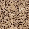 moderne_tafellamp_wit_gla_2.webp Discount Straluma Moderne tafellamp wit glas met zwart