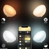 philips_hue_white_and_col_2-1.webp Online Straluma Philips Hue white and color ambiance go portable light met Bluetooth