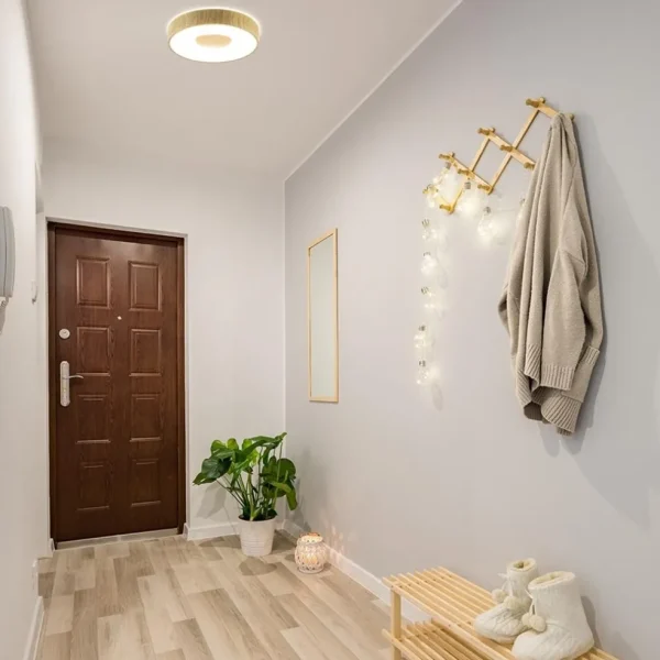 plafondlamp_coin__hout__r_4-1.webp Cheap Straluma Plafondlamp Coin 38 hout + remote CCT