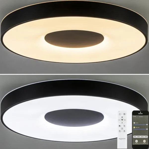 Store Straluma Plafondlamp Coin 65 zwart + remote