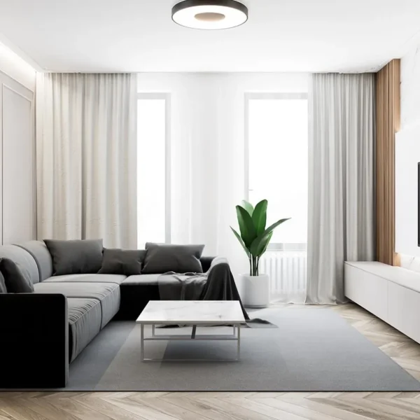 Store Straluma Plafondlamp Coin 65 zwart + remote