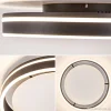 plafondlamp_led_cirkel_zw_3.webp Shop Straluma Plafondlamp Led Cirkel zwart/wit