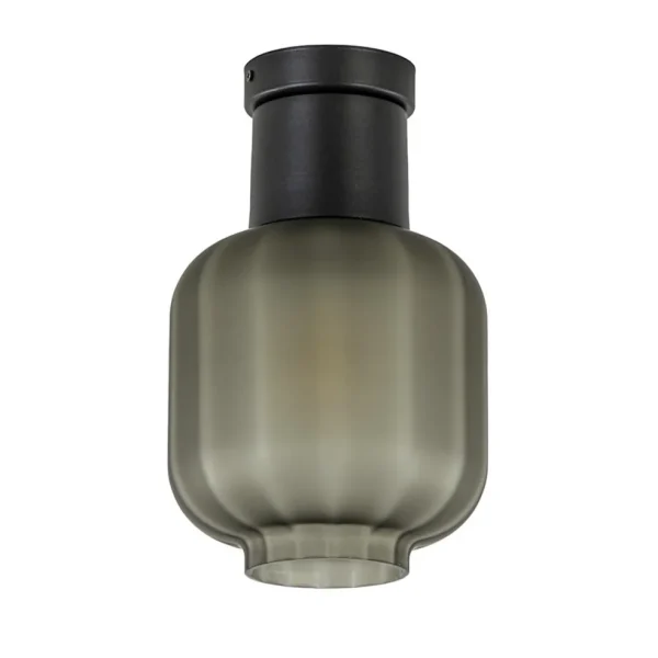 plafondlamp_lett_zwart__s_0.webp Flash Sale Straluma Plafondlamp Lett zwart + smoke glas 20cm