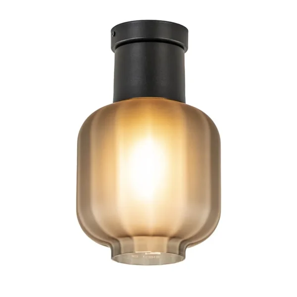 plafondlamp_lett_zwart__s_1.webp Flash Sale Straluma Plafondlamp Lett zwart + smoke glas 20cm