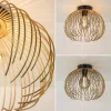 plafondlamp_nest_matgoudz_3.webp Cheap Straluma Plafondlamp Nest matgoud/zwart