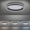 plafondlamp_qvito__zwart__2.webp Outlet Straluma Plafondlamp Q-Vito 40 zwart smart+remote