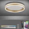 plafondlamp_qvito_cm_matg_1.webp Online Straluma Plafondlamp Q-Vito 40cm matgoud smart + remote