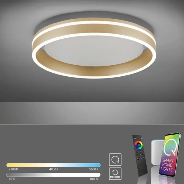 plafondlamp_qvito_cm_matg_1.webp Online Straluma Plafondlamp Q-Vito 40cm matgoud smart + remote