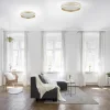 plafondlamp_qvito_cm_matg_4.webp Online Straluma Plafondlamp Q-Vito 40cm matgoud smart + remote
