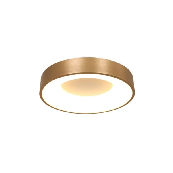 plafondlamp_ringlede_cm_m_1-1.webp Hot Straluma Plafondlamp Ringlede 30cm matgoud